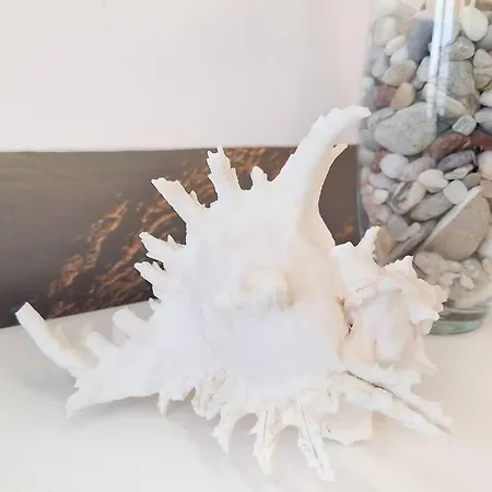 Urban Haven * Ledine